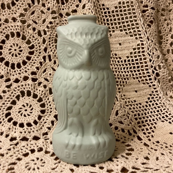“Be Wise” Owl Bank - Pastel Chalk Paint Eggshell Blue - Picture 1 of 11